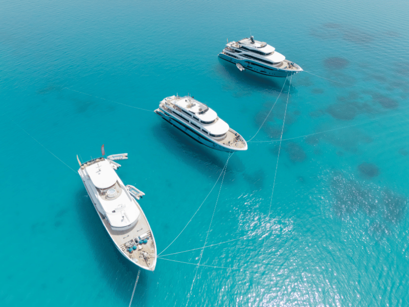 KiteSurf & Wingfoil Safari en Egipto: Vuela Entre las Islas del Mar Rojo a Bordo de un Yate