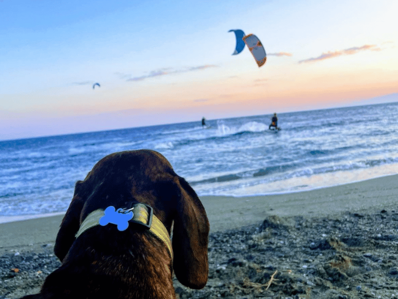 The Wind and Sea<br> Ritual