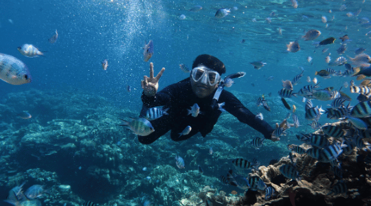 Apéritif au Coucher du Soleil en Voilier